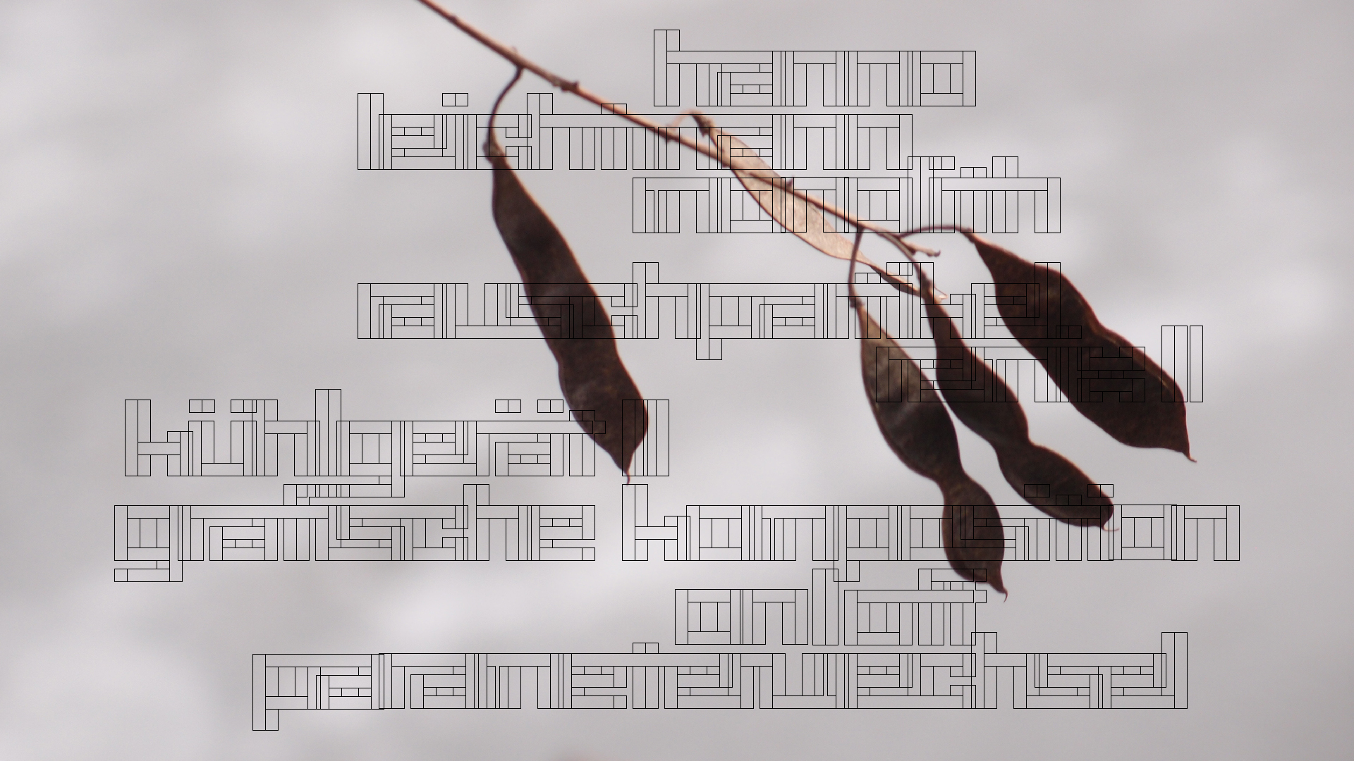 2021-03-10 Hanno Leichtmann - 1996 Monolith (rauschpartikel Remix 1 - 3)